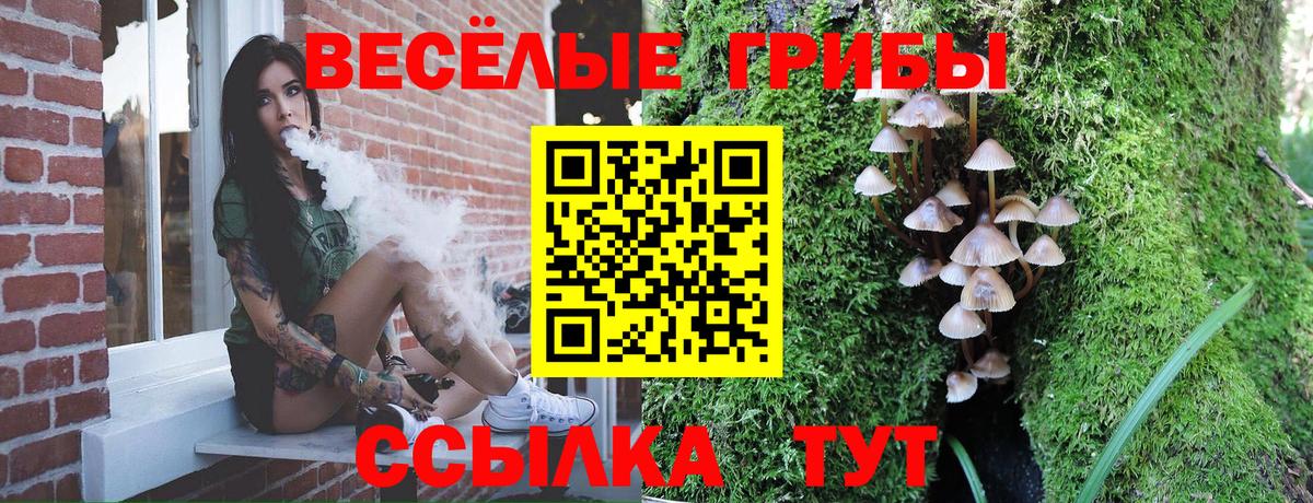 Новокуйбышевск  Псилоцибиновые грибы Magic Shrooms  Вход с VPN 